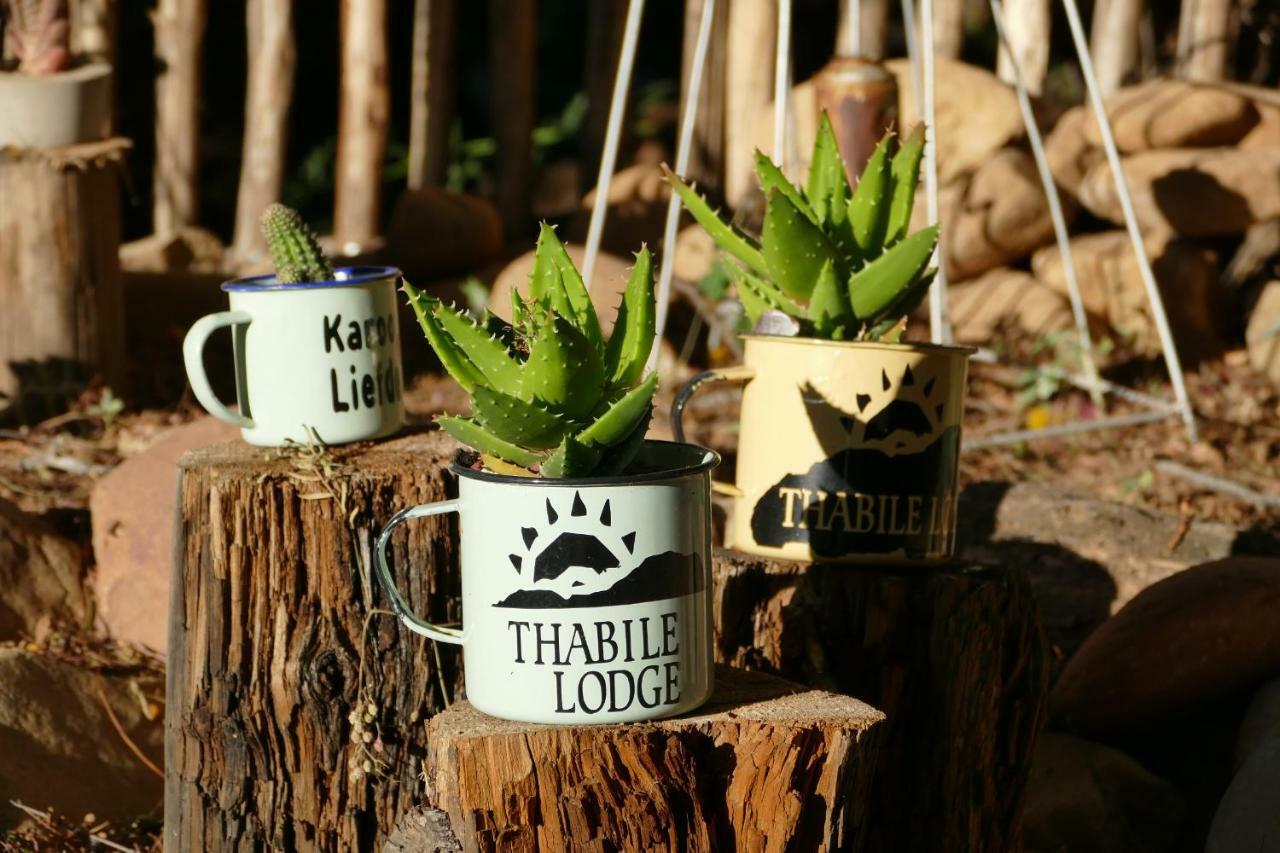 Thabile Lodge 오쇼른 외부 사진
